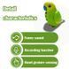 Игрушка-повторюшка попугай Funny Parrot TT8005 Синий TT8005BLU фото 2