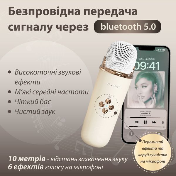 Портативная колонка с микрофоном Platinum C-20 BT/TF/USB/FM влагозащищенная 5 Вт, бежевая C20P фото