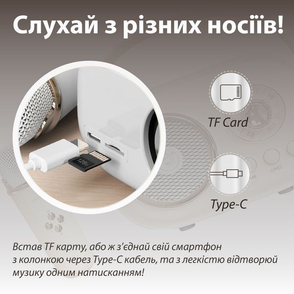 Портативная колонка с микрофоном Platinum C-20 BT/TF/USB/FM влагозащищенная 5 Вт, бежевая C20P фото