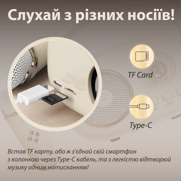 Портативная колонка с микрофоном Platinum C-20 BT/TF/USB/FM влагозащищенная 5 Вт, бежевая C20P фото