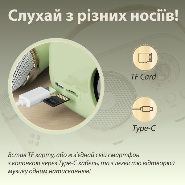 Портативная колонка с микрофоном Platinum C-20 BT/TF/USB/FM влагозащищенная 5 Вт, бежевая C20P фото
