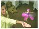 Летающая кукла фея Flying Fairy | Игрушка для девочек 94844 фото 3